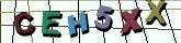 Chuck Norris has counted to infinity. Twice.